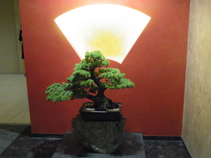 城山5のサムネール画像