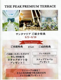ピーク2018.8.2～16