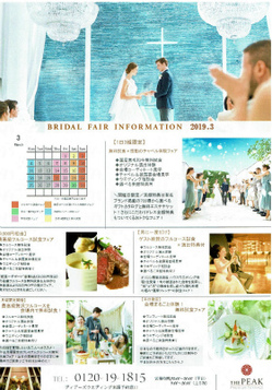 ピーク2019年3月のサムネール画像