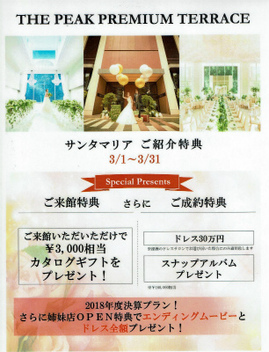 ピーク2019年3月31日まで特典